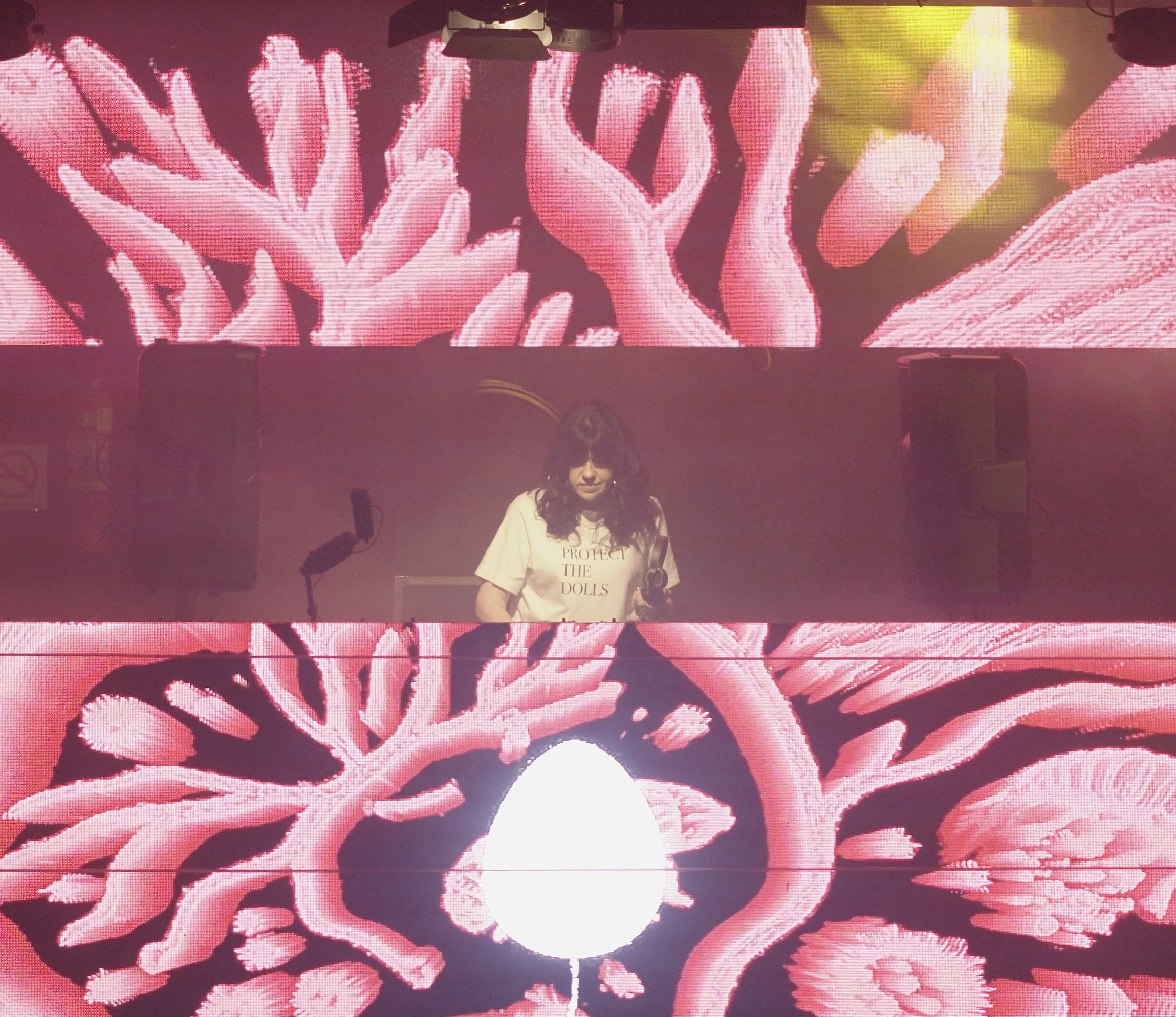 DJ Paluma